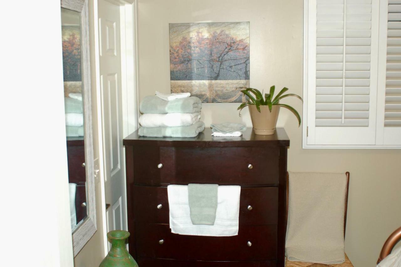 Blue Bear Den 3Br 2Ba Dtc Private Apt Hot Tub Dış mekan fotoğraf